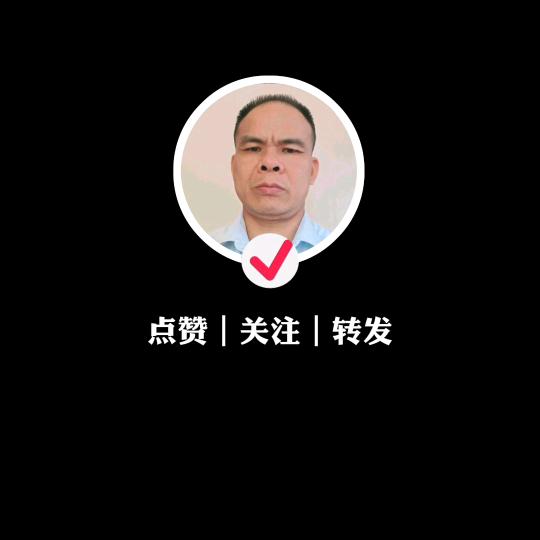 我的乖乖陈先生