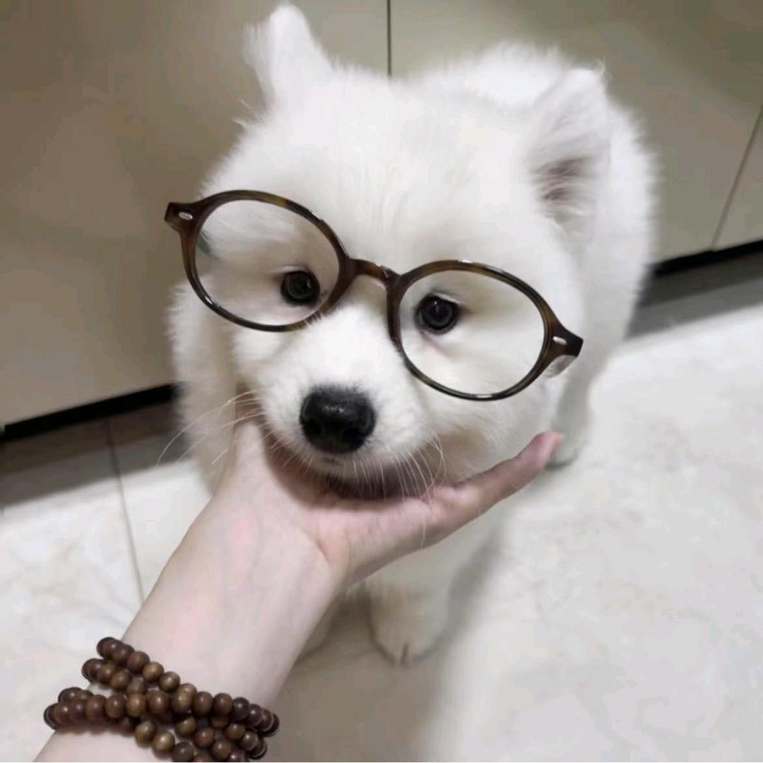 白云.