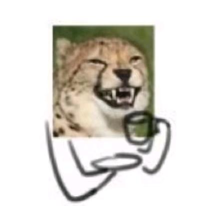 布衣