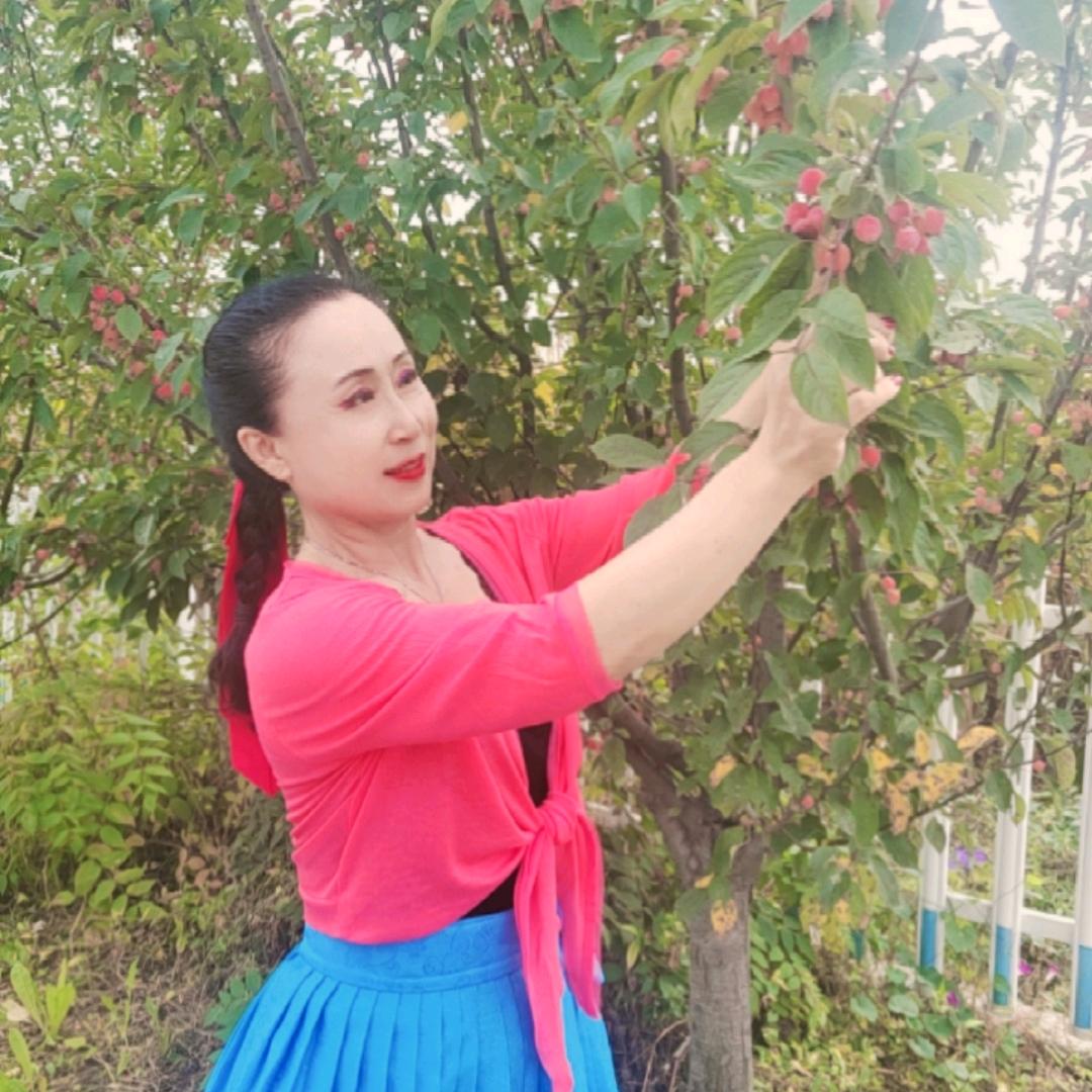 雪莲