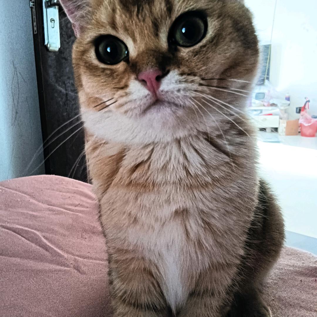 夏季