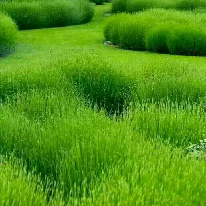 人生这杯酒谁喝都得醉