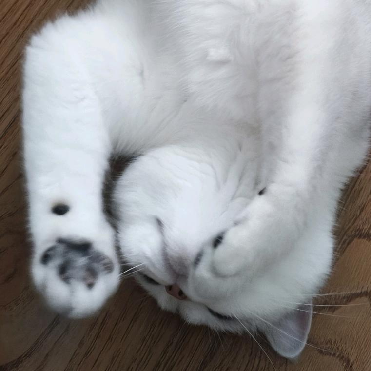 Meow妙（一胎宝妈）