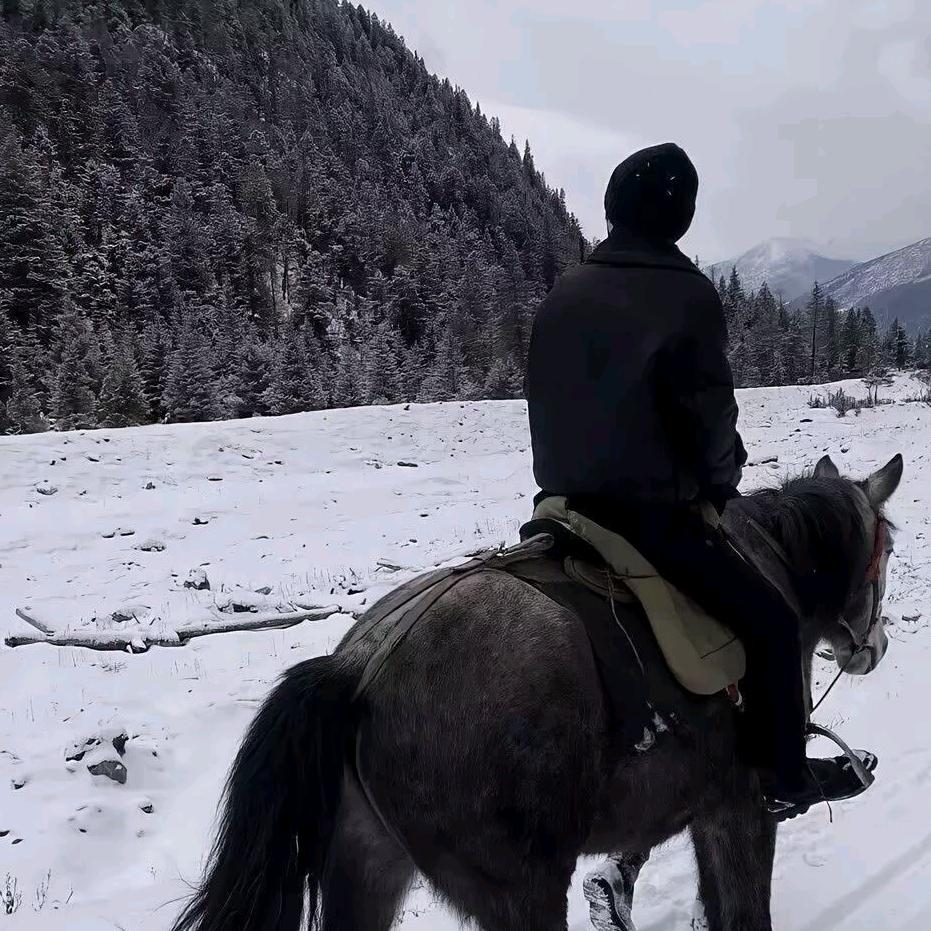 李不南