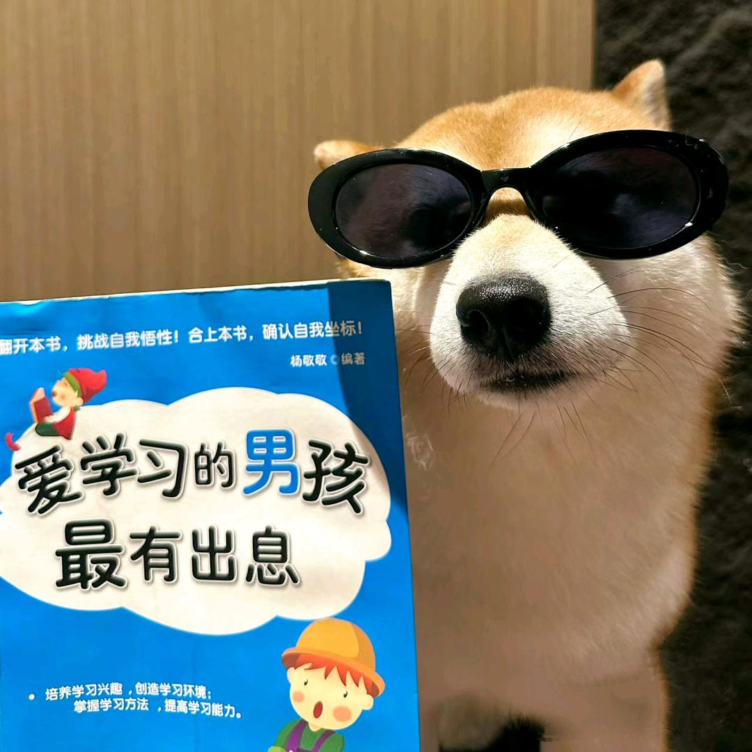 张蔼蔼（三角洲撞车）