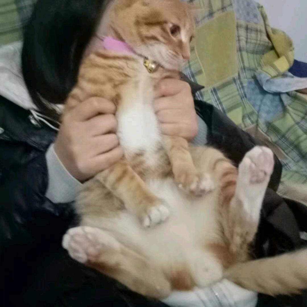淘米儿