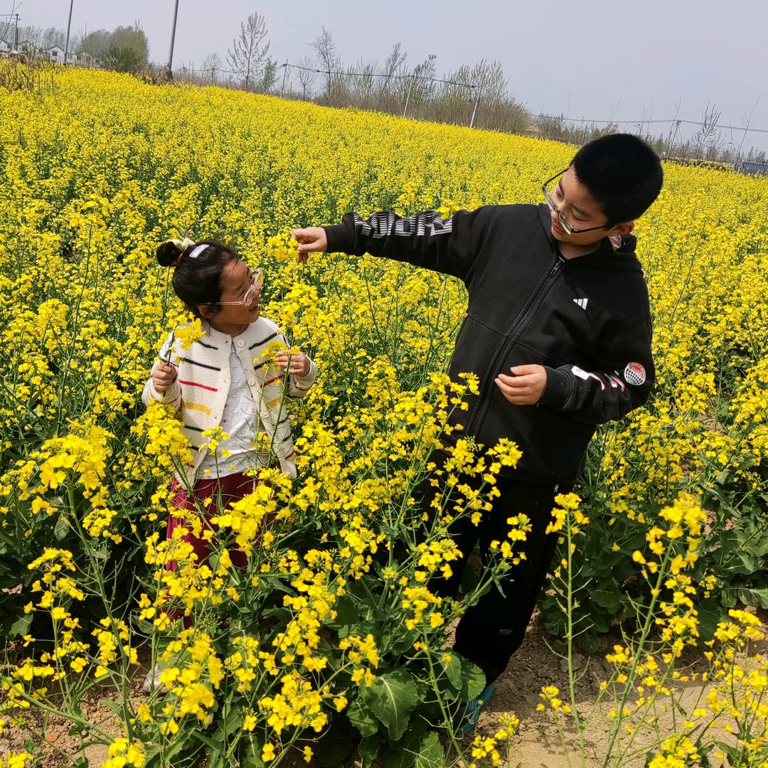 真芯&实易