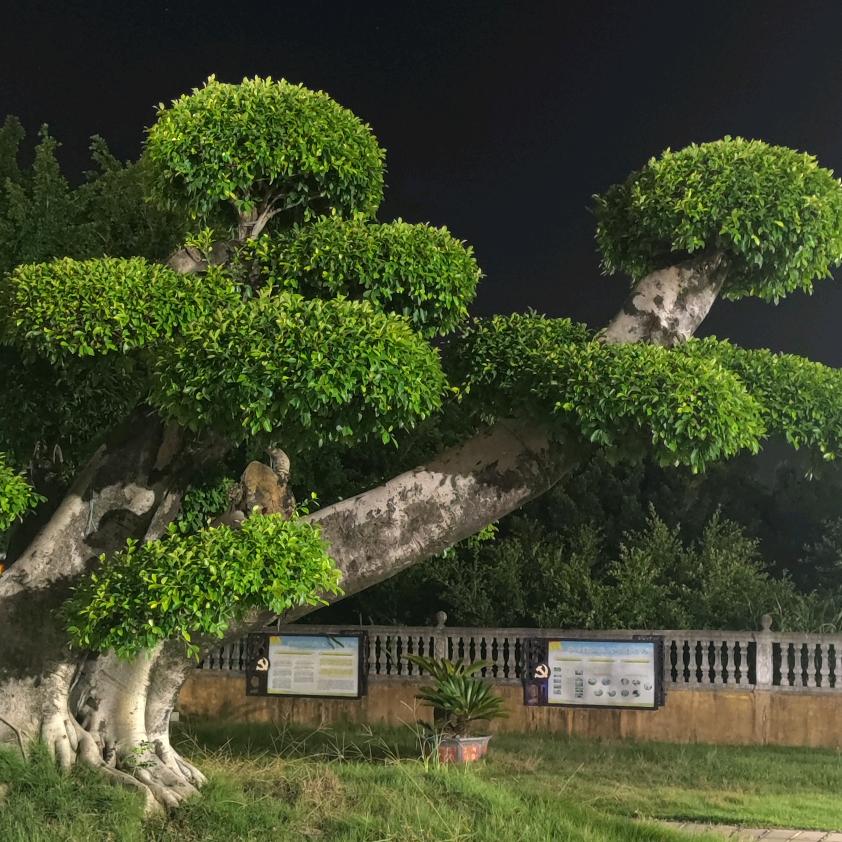 奋斗在她乡