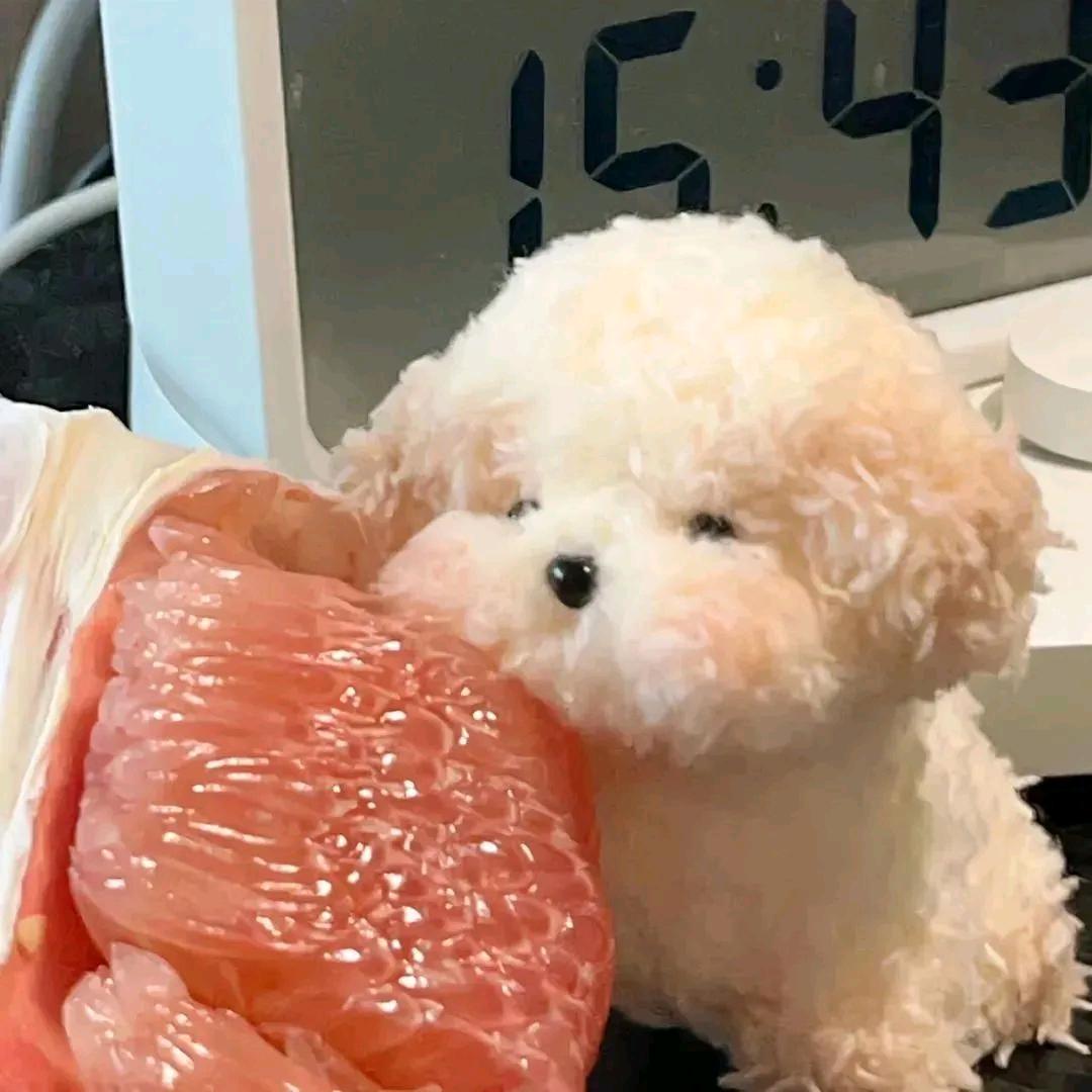 没有双下巴🌈