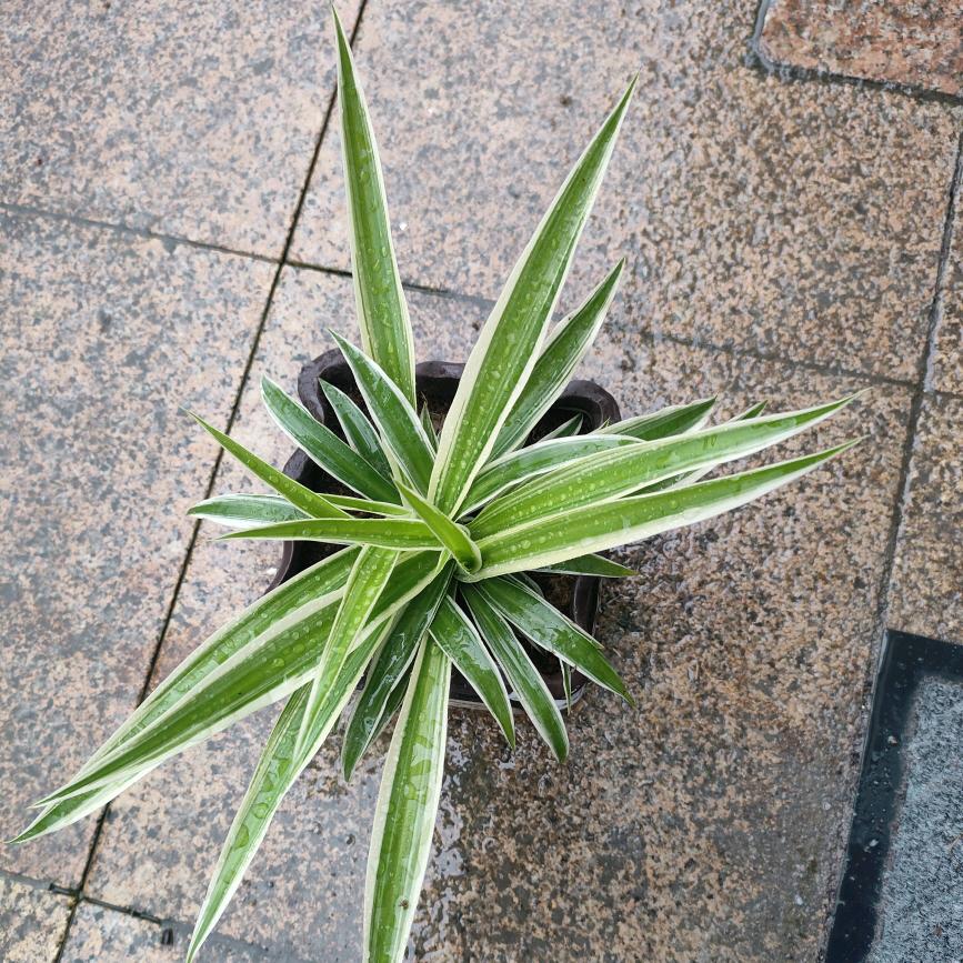 接我回家