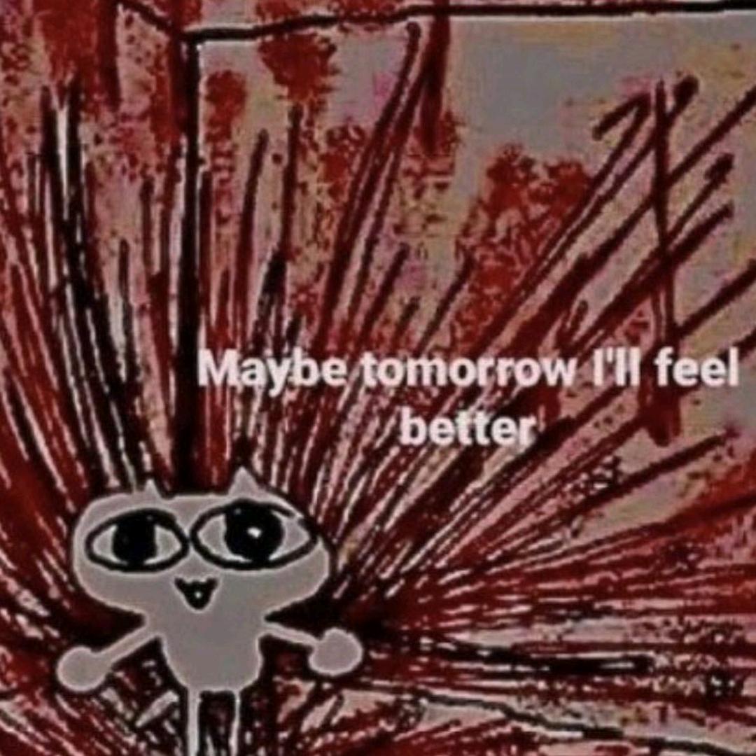 慈雨