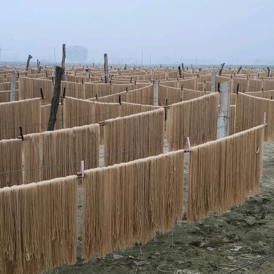 曹二妮（红薯粉条生产厂家)