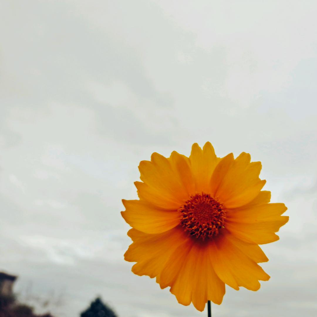 🍀空格...』