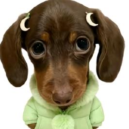 ღ⊙□⊙╱脸伸过来让我打一下😆