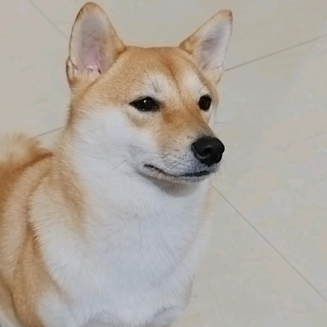 靖宗杰文萱