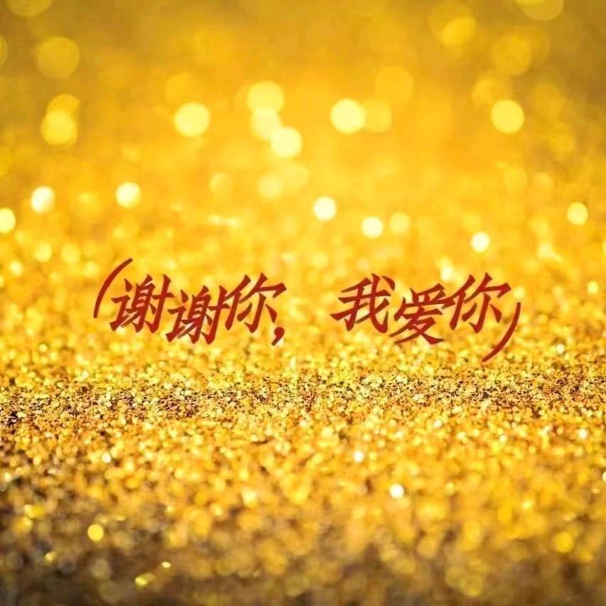 长安陆号皮肤管理