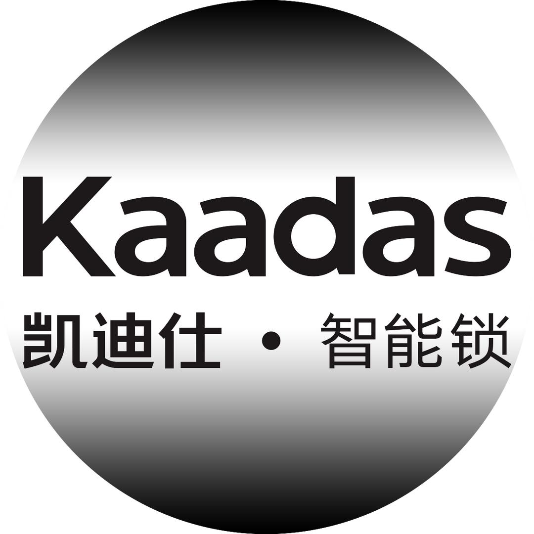凯迪仕智能锁(衡水旗舰店)