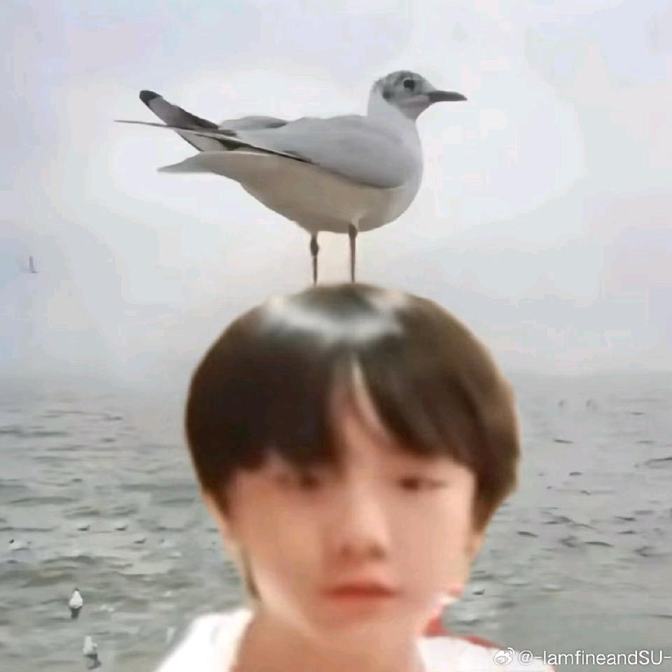 饼fff🍎