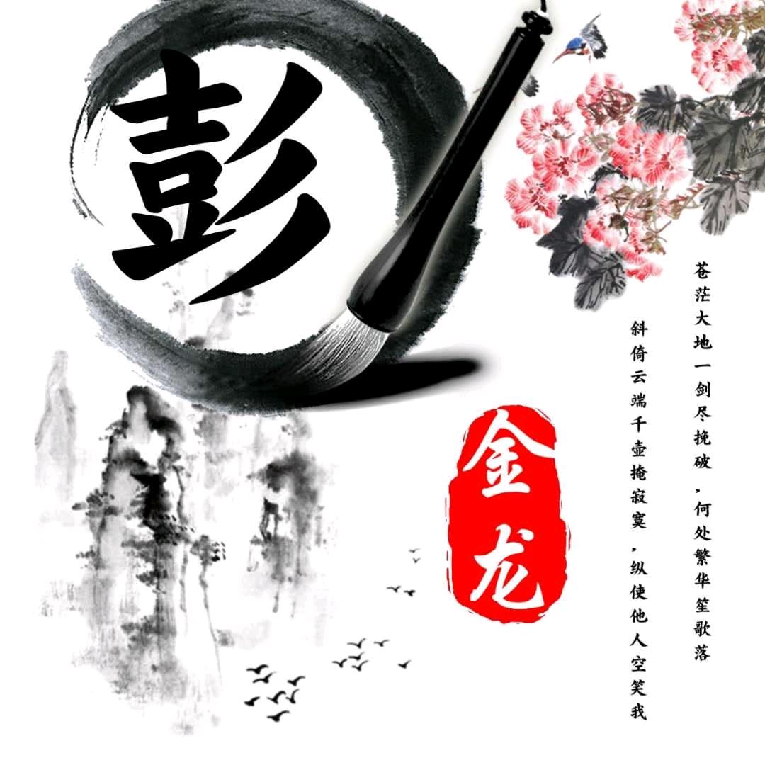 ゞ金龙 勇往直前