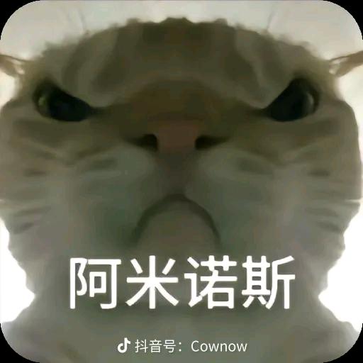 哈基米的重度依赖