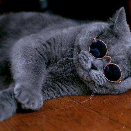 𝙎𝙞𝙡𝙚𝙣𝙘𝙚🍃