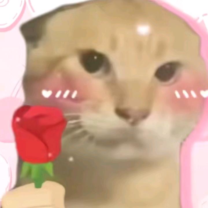 好说