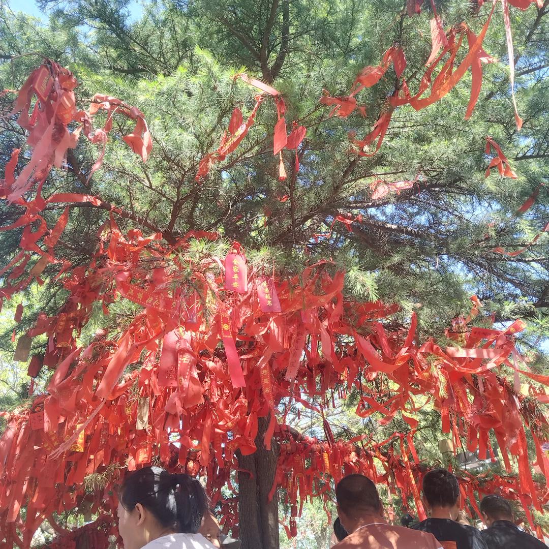 🌸🍀，幸福的出发🌷🌿