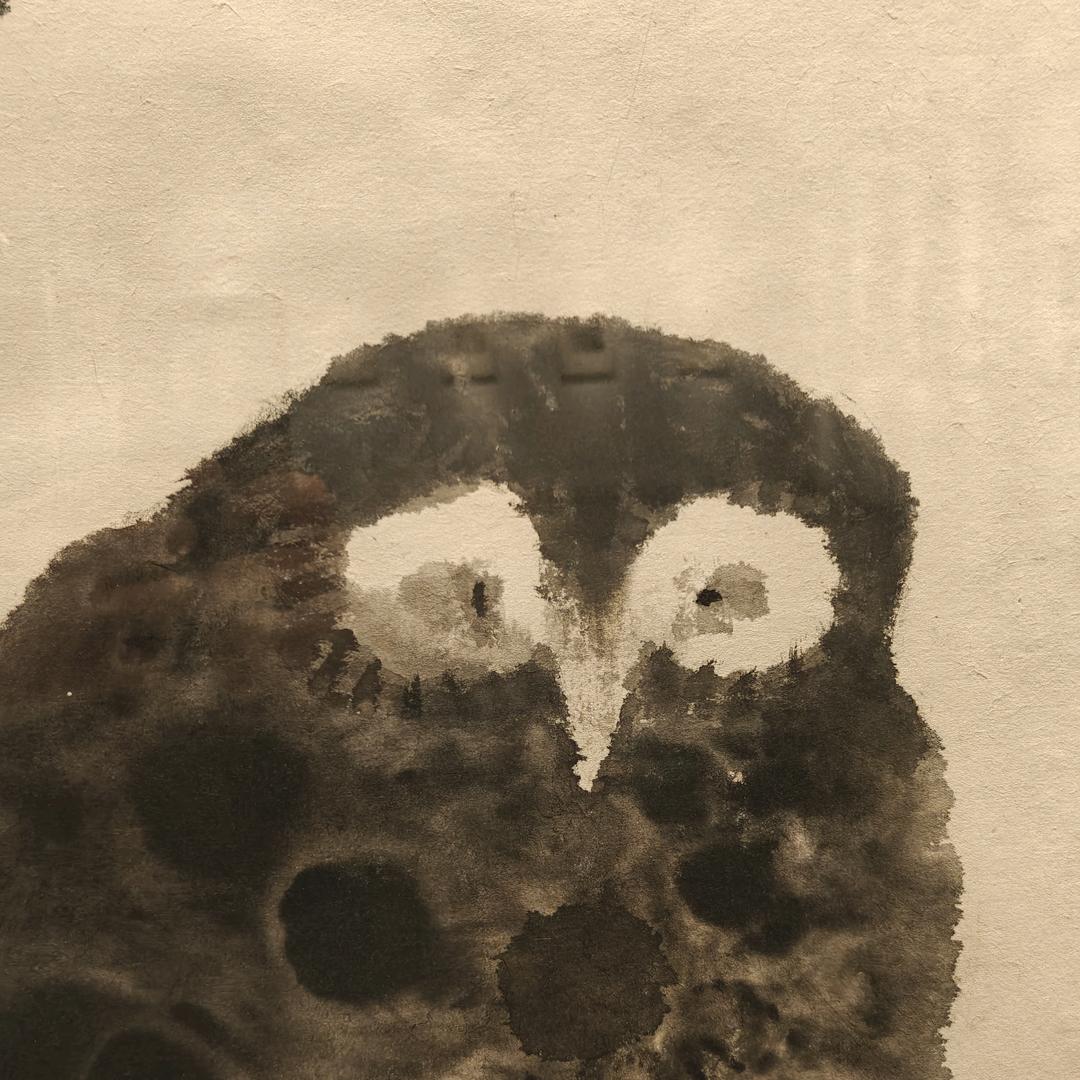 兲嘦勥烎 🫙¹⁰²⁹