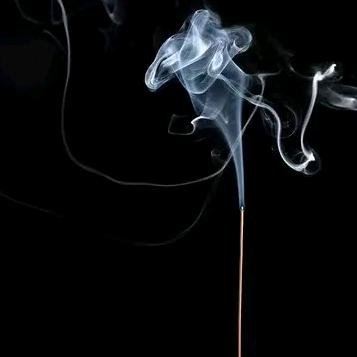 好吃的柚子