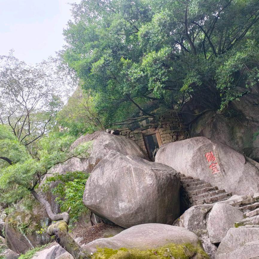 顺琪自然