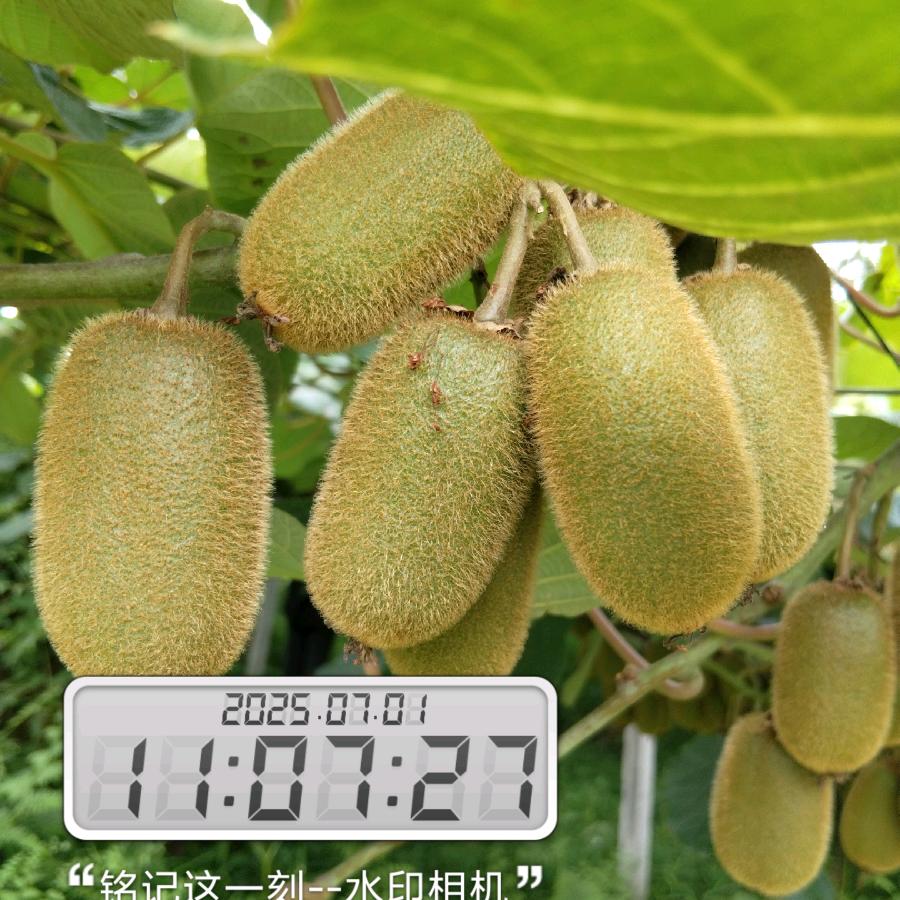 一身有你