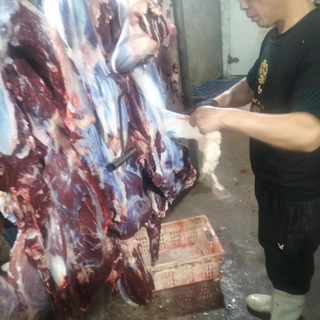 养牛一条龙服务