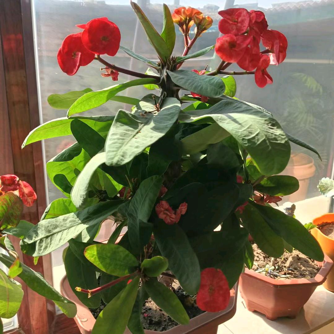 清心寡欲随遇而安