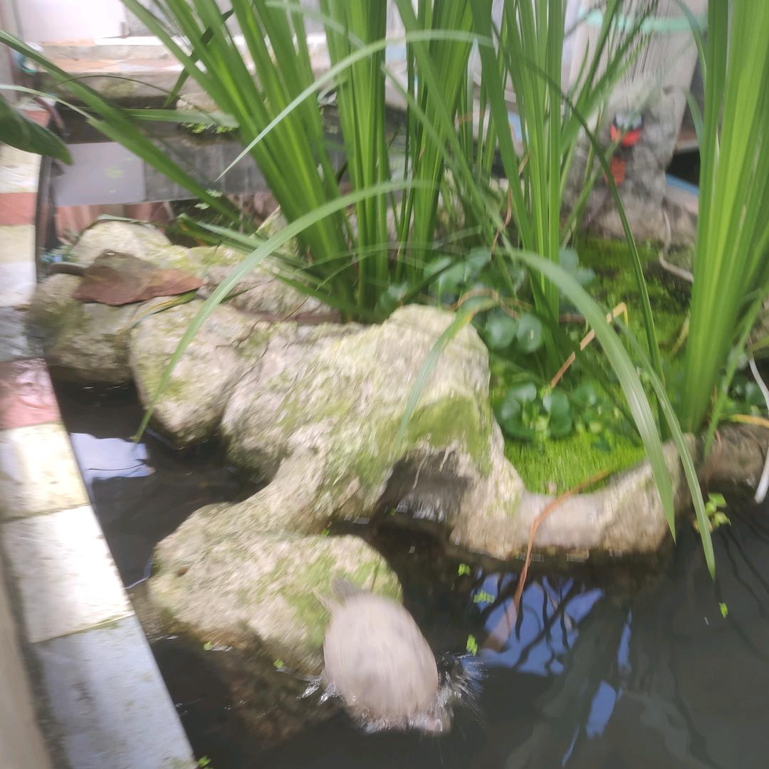 ，你永远不懂我
