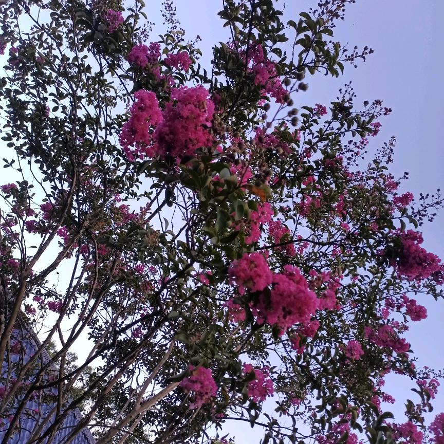 木子你