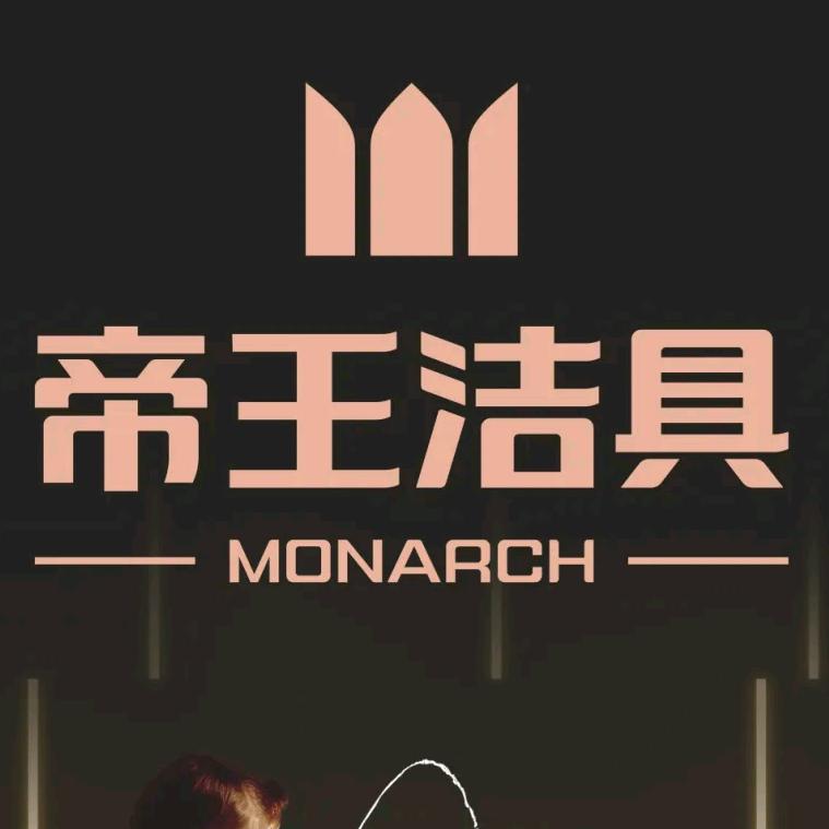 喀什帝王洁具｜菲斯曼壁挂炉