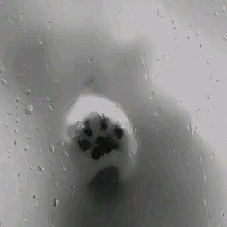 love财亿🥰双收520