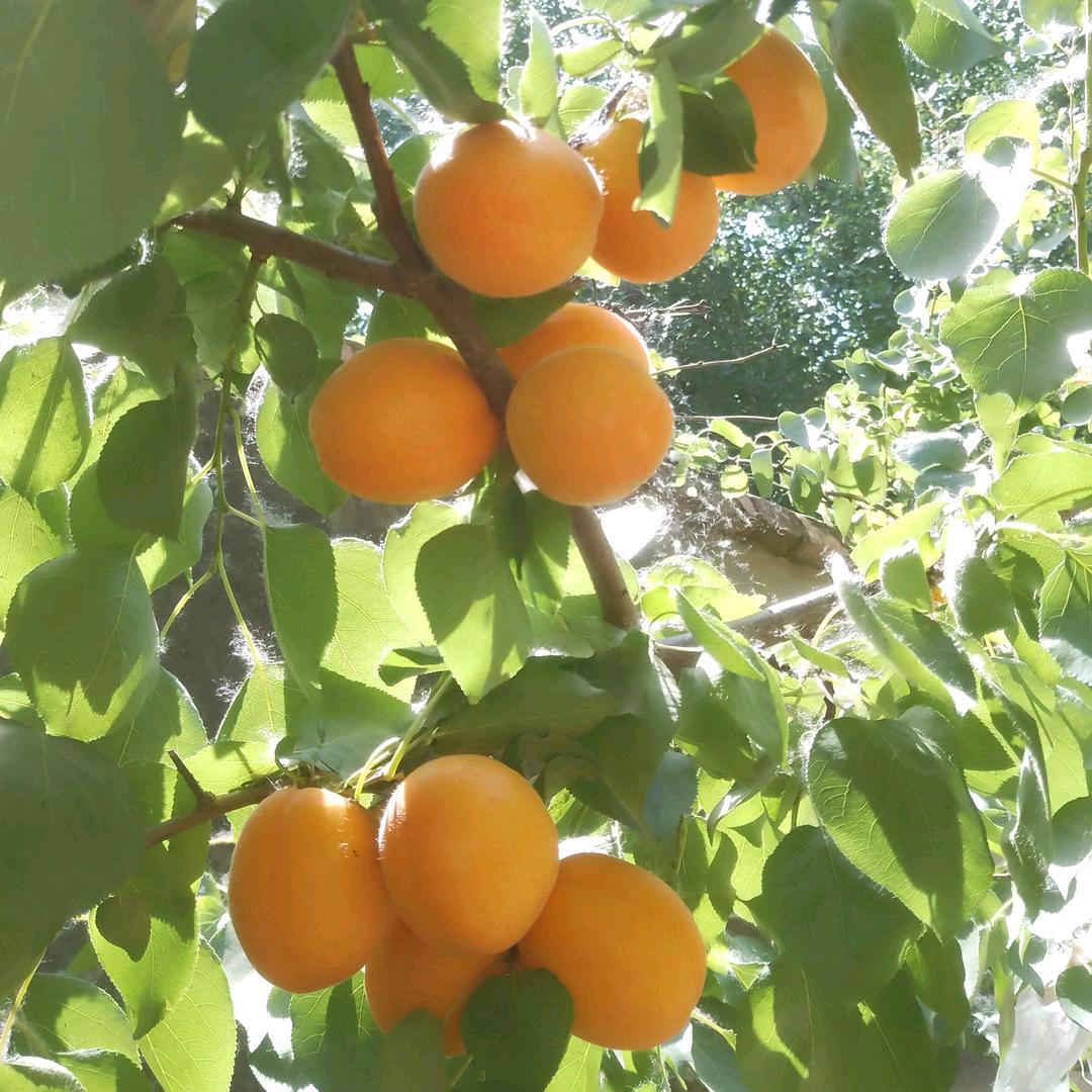 芮静而不争顺风顺水无忧无虑互相交流