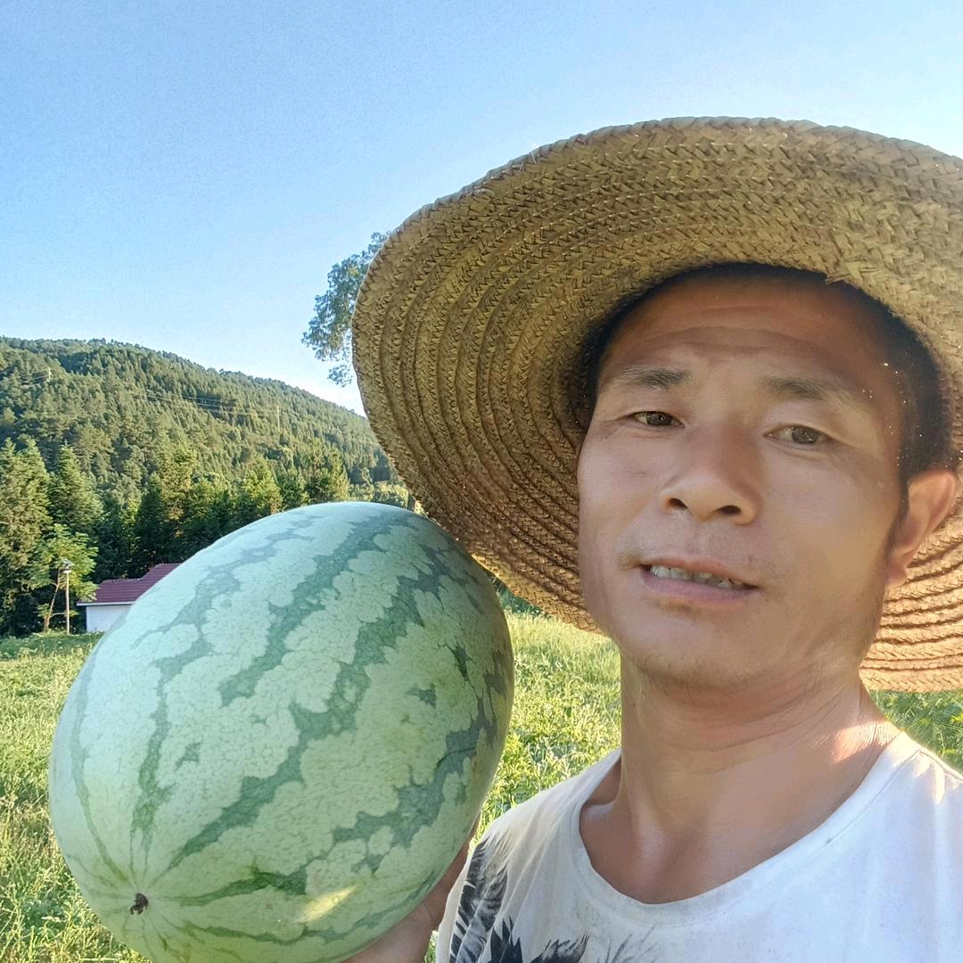 产业振兴，王叔
