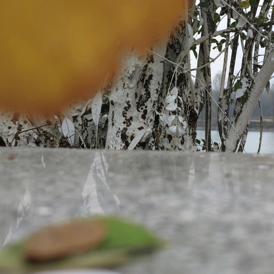 福气