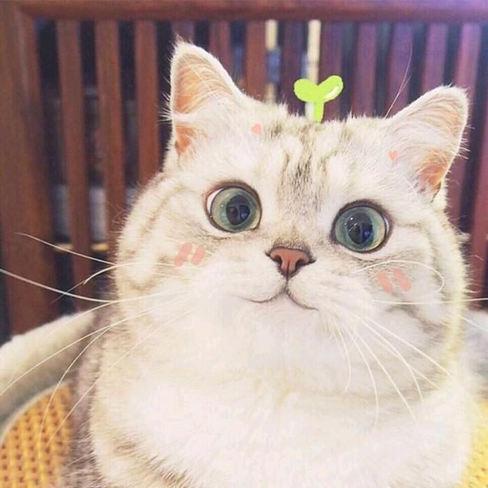 阿玉精选