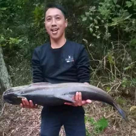 ^_^命運不堪浮華⊙_⊙