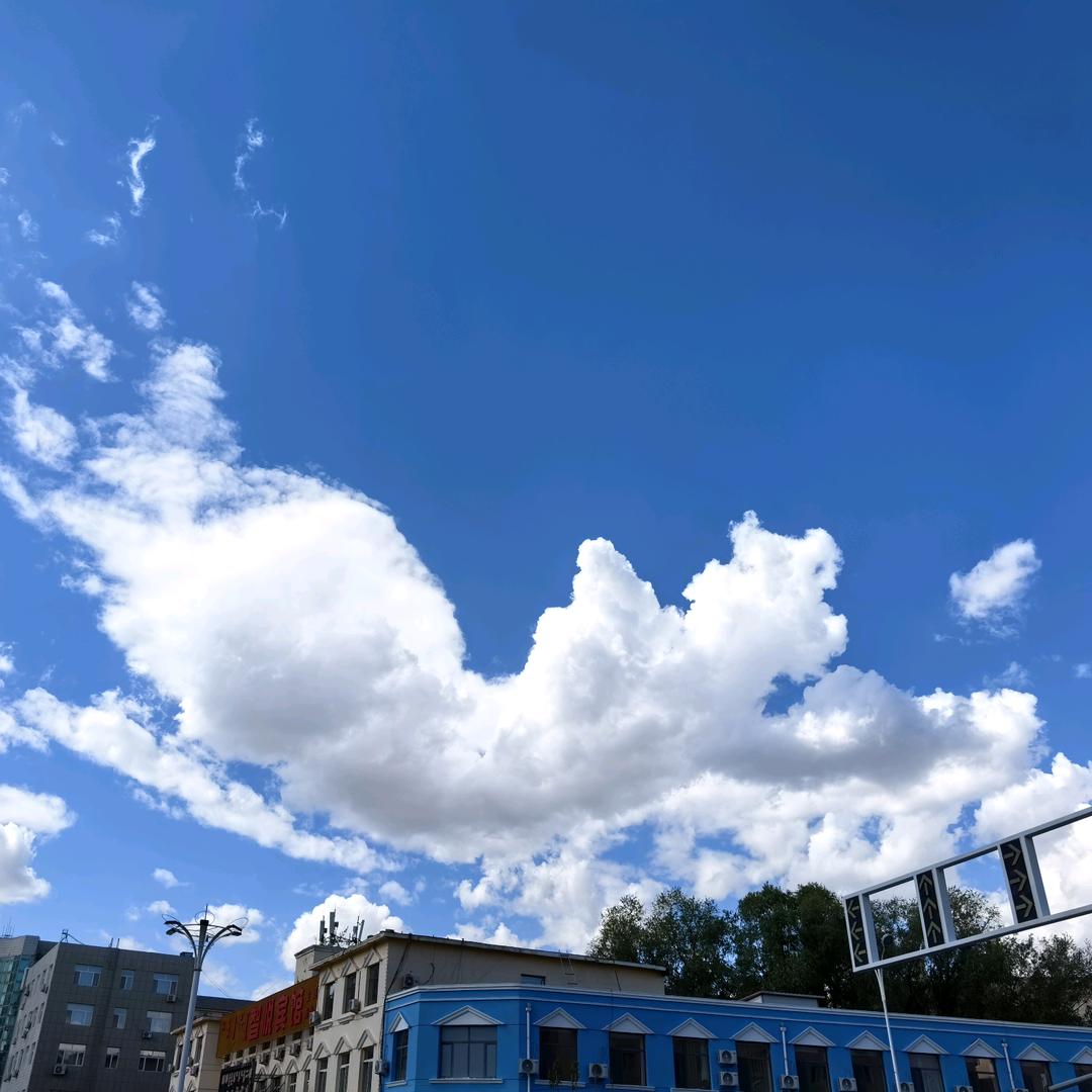 赤峰 妖妖  （ 鱼趣水族）