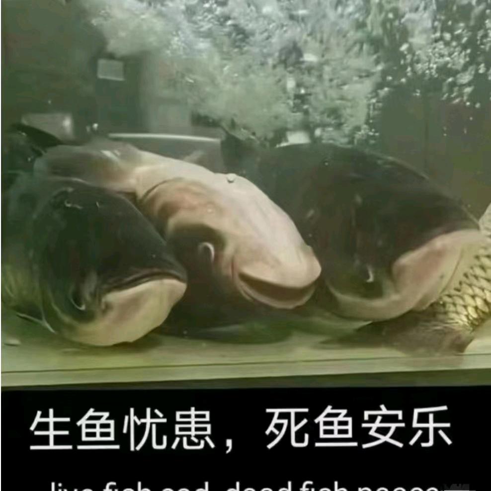 白首