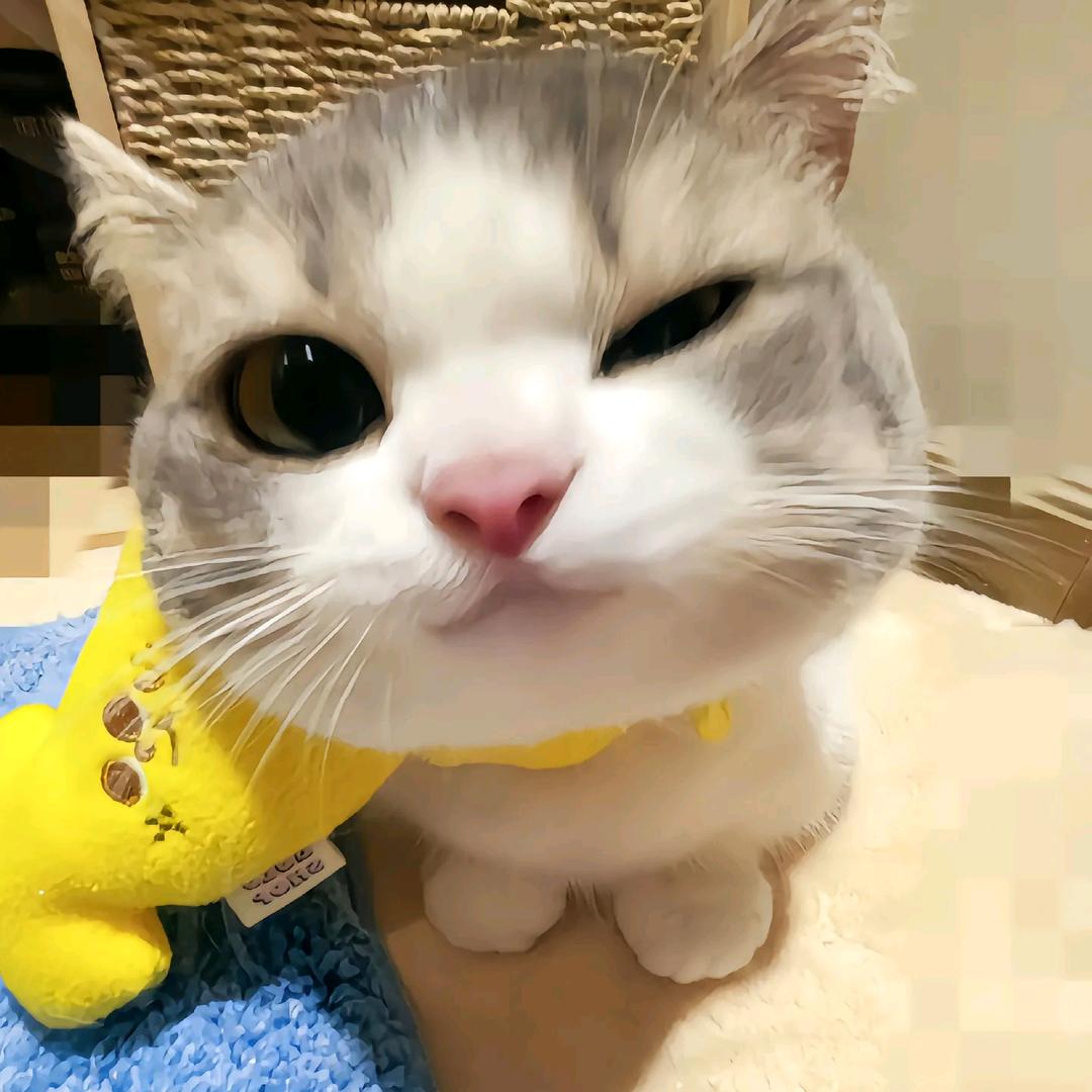 阿sir.