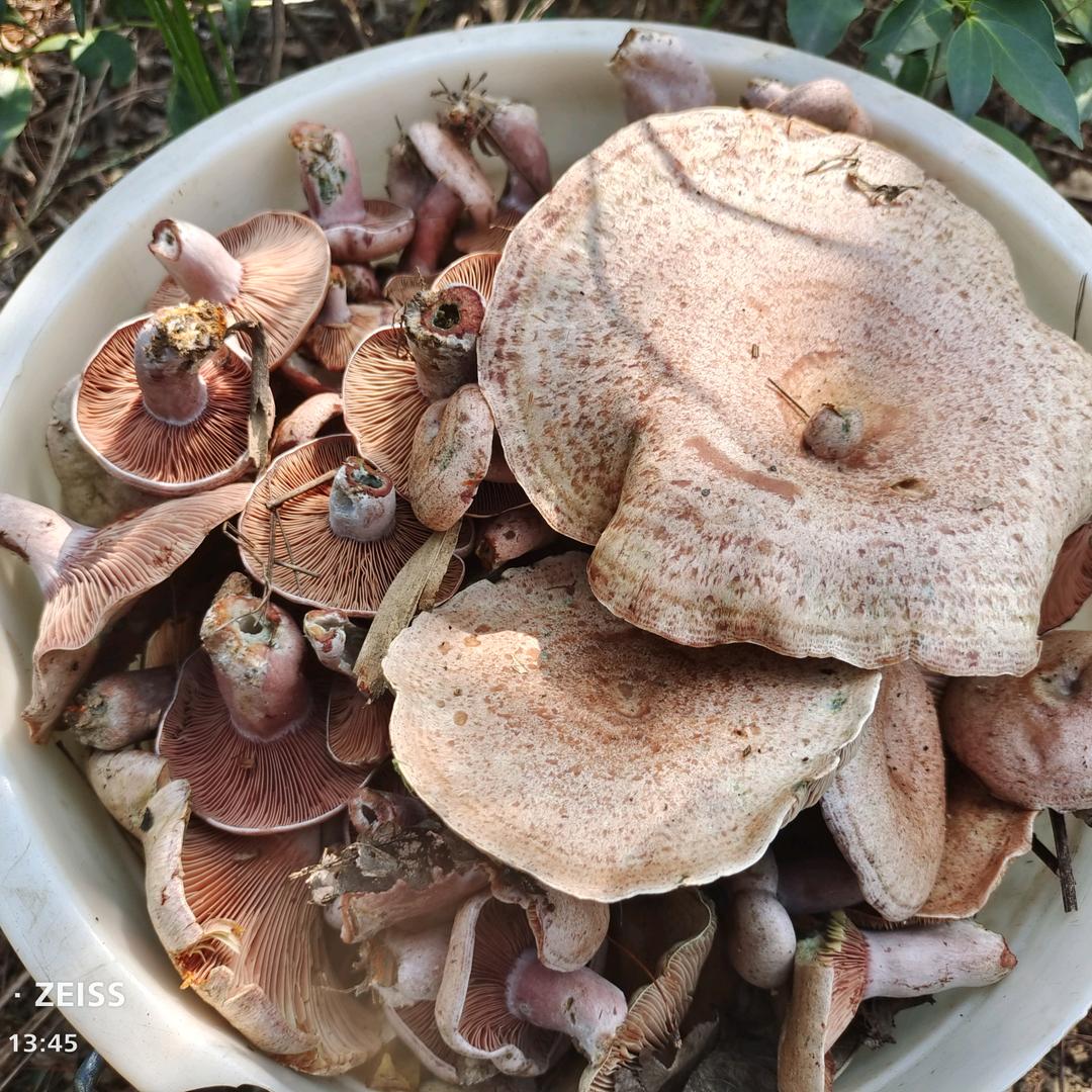 浪子回头 金不换