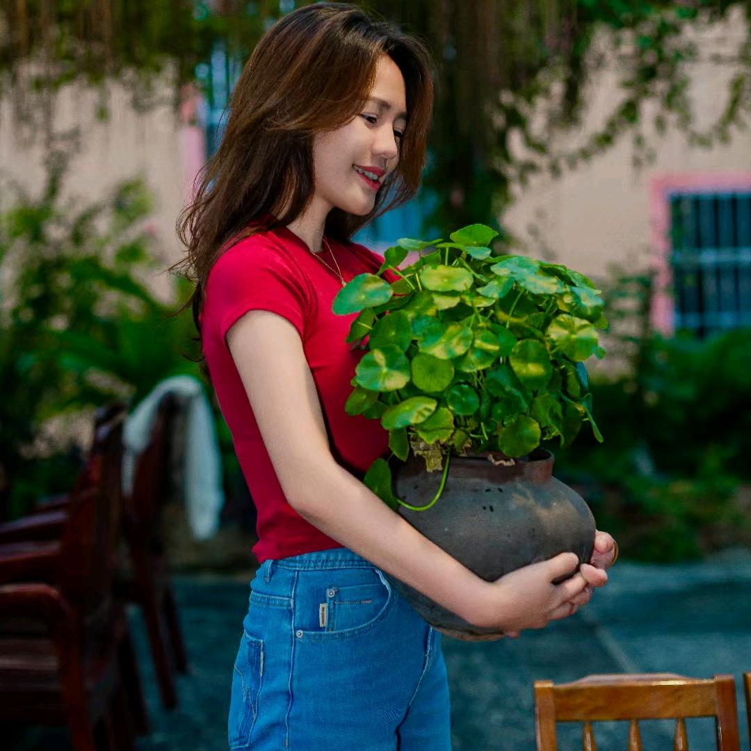 紫慧🍀