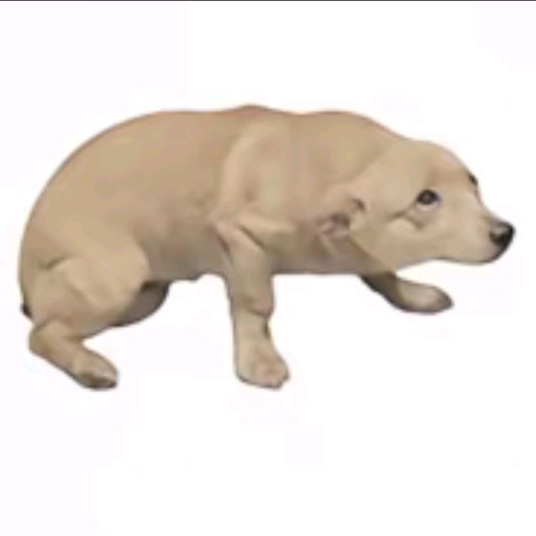 加策