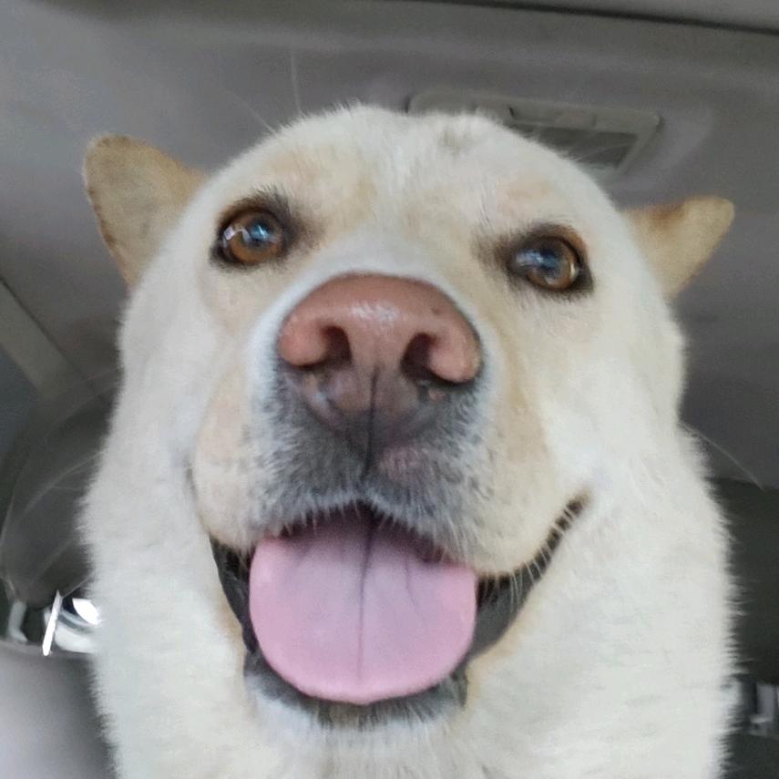 AAA送货上门乐师傅