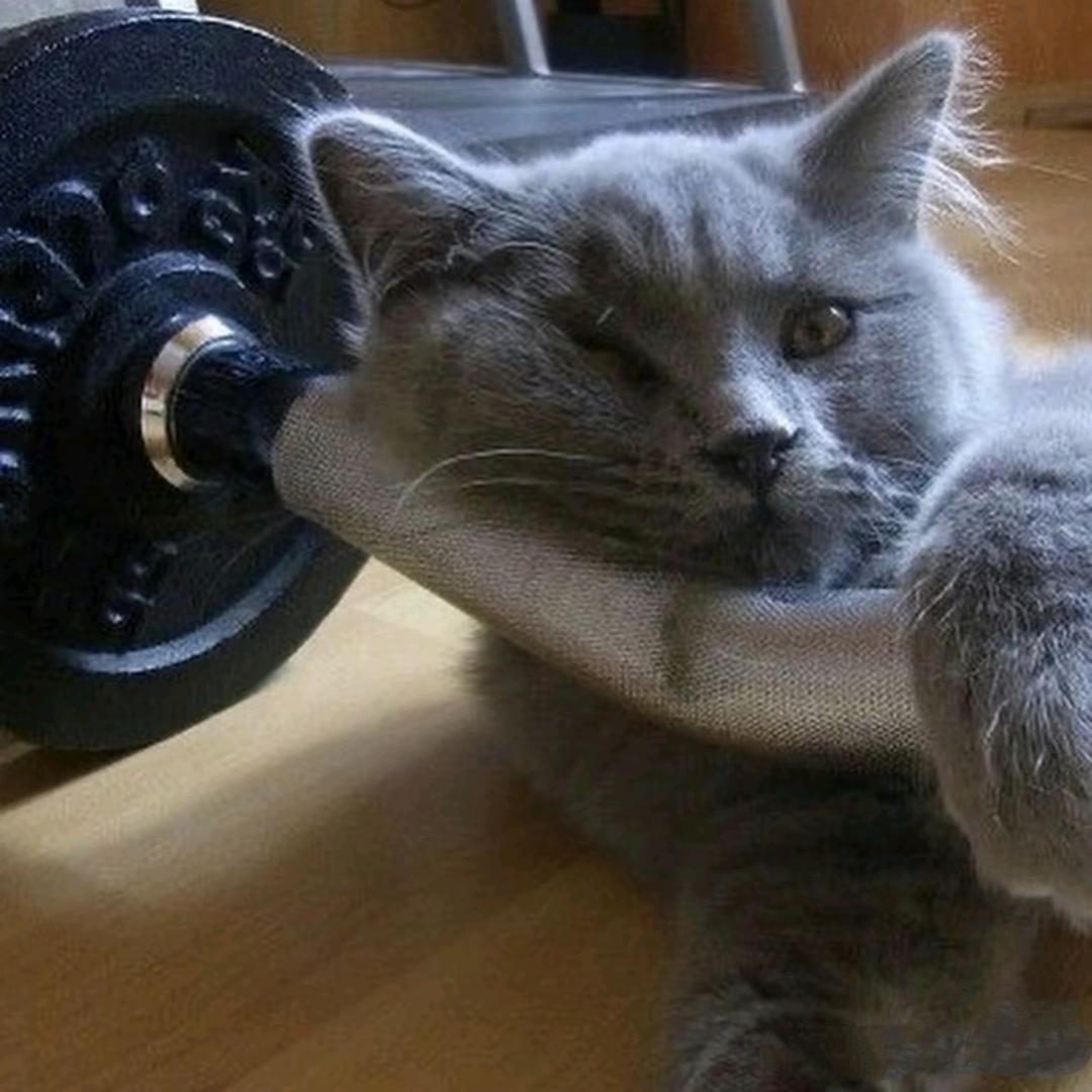 美洲健身（城北吾悦店）